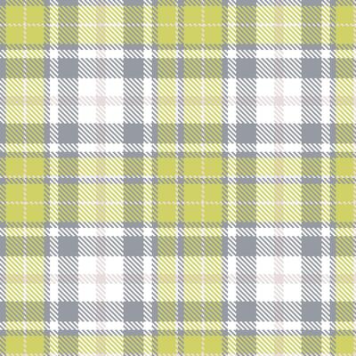 Plaid pattern seamless. Neon Dustblu and Neon White Tartan Textile Design.