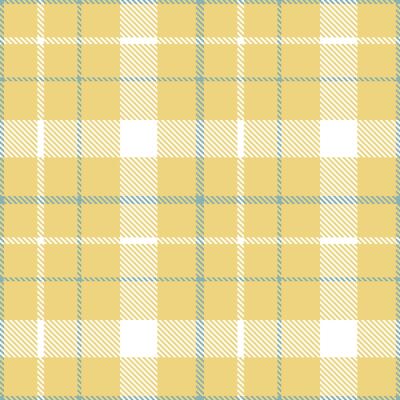Classic Beach House Tartan patterns fabric texture. Modern Cool Shallow Water Ground Seamless Tartan