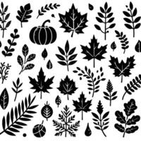 A stylized monochrome illustration featuring an assortment of autumn elements, including various leaf shapes and a pumpkin, arranged in a scattered pattern against a white background, evoking a sense vector