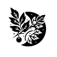 Monochromatic Illustration of a Leafy Branch with Berries and a Circular Element, Offering a Modern and Elegant Botanical Motif. vector