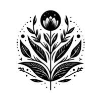 Elegant Black and White Floral Mandala Intricate botanical featuring a stylized flower, leaves, and celestial accents within a circular frame. vector