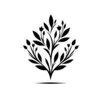 Minimalist Black and White Botanical Symmetrical Foliage with Leaves and Budding Flowers on a Plain White Background. vector