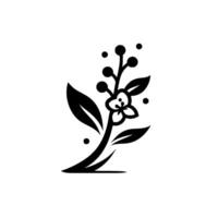 Elegant Black and White Floral Illustration A Serene Depiction of Blossoms, Berries, and Leaves on a Gentle Curve, perfect for and branding elements. vector