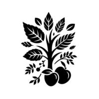Stylized Black and White Apple Tree Illustration with Apples, Leaves, Berries, Branching, and Minimalist . vector