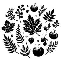 A minimalist black and white botanical illustration, showcasing a circular arrangement of stylized leaves, berries, and fruits evoking autumn, creating a balanced composition. vector
