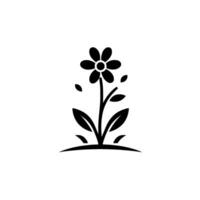 A minimalist black and white illustration of a daisy, representing growth, with detailed petals and leaves, contrasted on a plain white background. vector