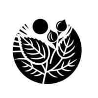 Elegant Monochrome Illustration of a Botanical Arrangement within a Circle, Featuring Leaves, Berries, and a Sun Motif, Evoking Serenity. vector