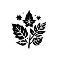 Stylized Black and White Botanical Illustration Featuring Leaves, Stem, and StarShaped Elements, on a Clean White Background. vector