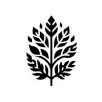 A stylized, symmetrical black and white illustration of a tree with multiple detailed leaves, set against a clean white background, symbolizing growth. vector
