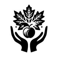 A stylized black and white illustration featuring hands cradling an apple beneath a cluster of maple leaves, conveying natures embrace. vector