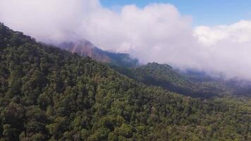 A mountain range covered with dense forest located under the clouds in Indonesia video