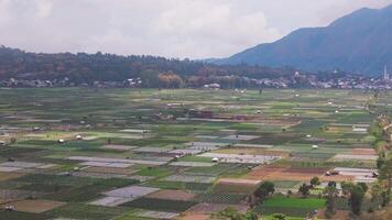 Aerial view of vast agricultural fields with village in Lombok, Indonesia video