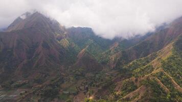 Aerial view of green valley and terraced farms in mountainous Lombok video