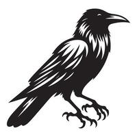 Raven Silhouette Illustration Mysterious Bird Design Graphic Element vector