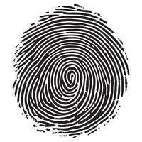 Fingerprint Graphic Unique Identity Security Black and White vector