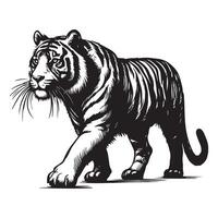 Majestic Tiger Illustration for Wildlife and Conservation Projects vector