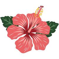 Red hibiscus flower icon vector
