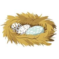 Cartoon birdhouse with eggs in a natural setting vector
