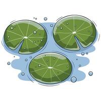 Water lilies floating on a blue pond vector