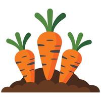 Carrot growing in a farm setting vector