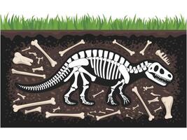 Soil layers with fossil skeleton vector