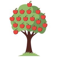 Apple tree with fruits vector