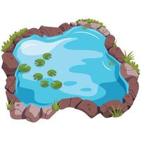 Pond with water lily vector