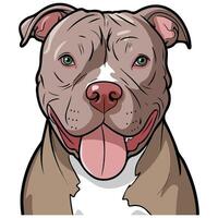 funny Pitbull on white background vector
