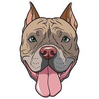 Pitbull on white background vector