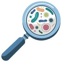 Bacteria under microscope vector