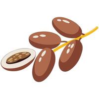 Dates branch for health vector