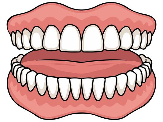 Jaw with teeth icon