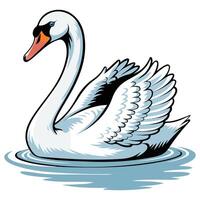 Swan floating on water vector