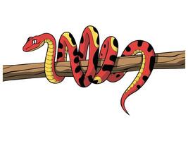 Snake on branch vector