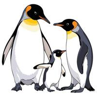 Penguin family on white background vector