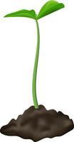 Realistic illustration depicting a young sprout emerging from the ground, featuring the first two vibrant green leaves, isolated against a clean white background vector