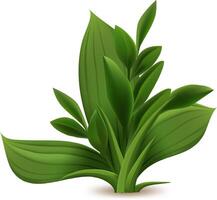 Realistic illustration of a vibrant green grass growing in the spring season, isolated on a white background, perfect for nature and gardening projects vector