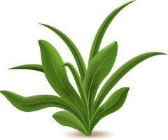 Fresh green grass growing on white background creating a realistic natural and vibrant image, perfect for representing spring, nature, or growth concepts vector