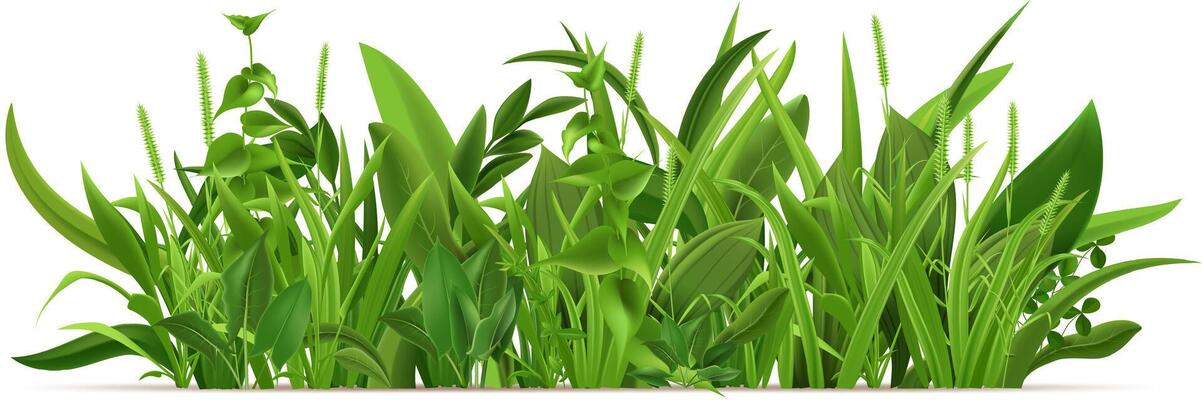 Realistic illustration of fresh green grass, herbs, and leaves growing in the spring season, perfect for nature, gardening, and botanical designs
