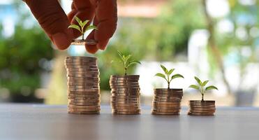 Business and financial investment. A man arranges coins on the table, The concept of saving. photo