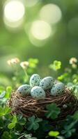 Speckled eggs in nest surrounded by greenery in tranquil nature scene photo