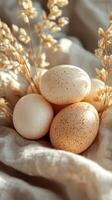 Speckled eggs and dried wheat on textured fabric surface with soft lighting photo