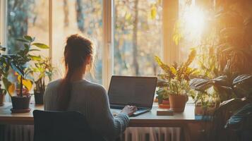 Freelancer Person works at desk with laptop. Indoor plants near window with bright light. Back view of woman typing on computer indoors. photo