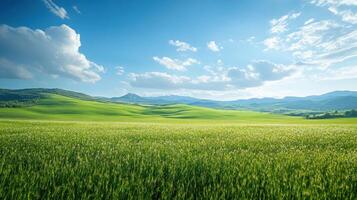 Green field landscape. Sunny day. Blue sky. White clouds. Mountains in background. Peaceful meadow. Nature scene. photo