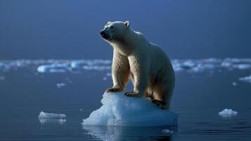 Polar bear sitting on ice. Arctic animal on ice floe. White bear in the cold water. Animal watching the landscape. Iceberg floating. photo