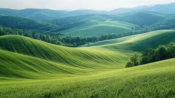 Green fields rolling on hills. Lush trees near meadows. Gentle mountains far away on horizon. Peaceful scenery in nature. photo