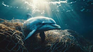 Environmental disaster Dolphin underwater trapped in net. Ocean creature struggles in fishing gear. Sunlight shines through the surface. Marine animal in danger. Sea life threatened. photo