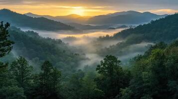 Mountain landscape. Forest with fog below a golden sunrise. Nature scene with trees and hills in soft light. Peaceful and scenic view. photo