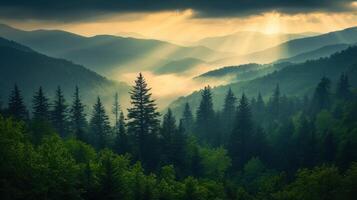 Green forest in mountains. Light rays through trees. Nature landscape with fog and hills. Beautiful scene of pine forest and sunshine. photo