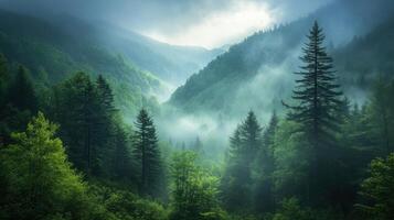 Green forest landscape with fog. Mountain woods scene. Trees on hills and cloudy sky. Nature scenery with mist rising above valley. photo